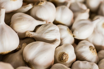 Garlic On the Market