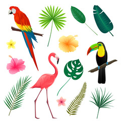 Vector Illustration of Tropical Leaves, Flowers and Birds