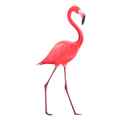 Naklejka premium Vector Illustration of a Flamingo