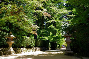 高野山金剛峰寺への参道