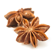anise star on white background