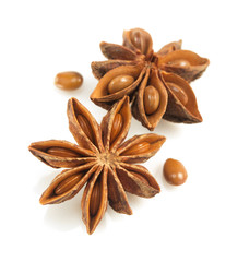 anise star on white background