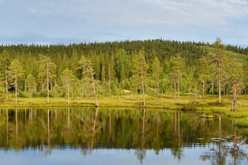 Evening on the lake