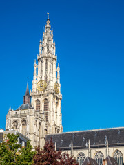 Fototapeta na wymiar Cathedral of Our Lady in Antwerp
