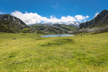 Fototapeta na wymiar Lake Ercina. Cantabrian. Covadonga. Asturias. Spain.