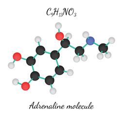 C9H13NO3 adrenaline molecule