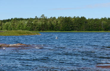 Waves of the Baltic Sea. Aland Islands, Finland