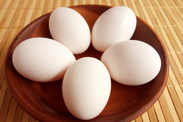 egg