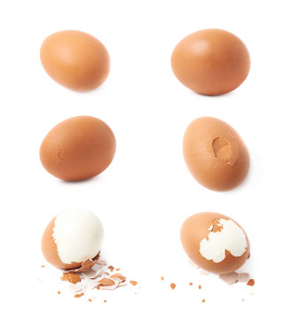 Set of chicken egg images