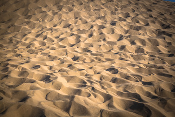 Fototapeta na wymiar Dune du Pyla - the largest sand dune in Europe, Aquitaine, Franc