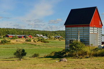 Rural landscape. Barn with a red roof