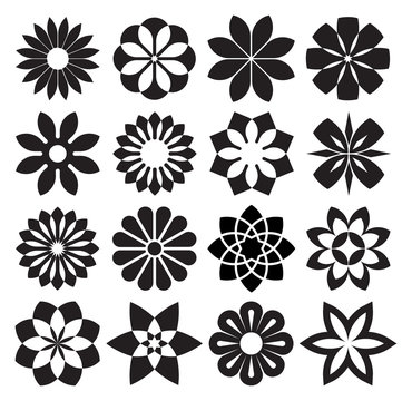 Vector Set of Graphic Flowers