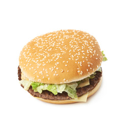 Fresh hamburger isolated