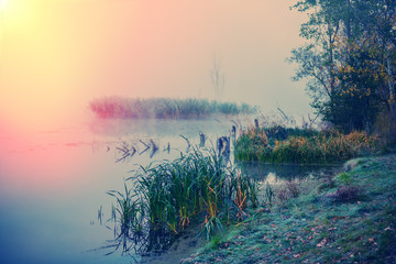  rural landscape © APHOTOSTUDIO