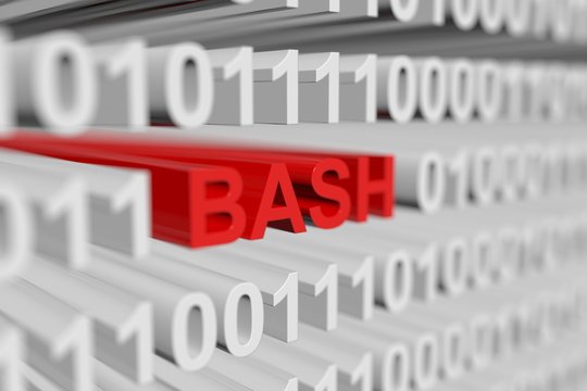 BASH in the form of a binary code with blurred background 3D illustration