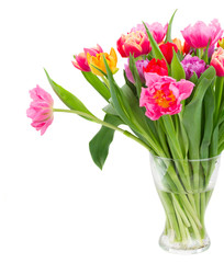 bouquet of  pink, purple and red  tulips