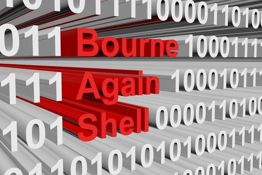 Bourne again shell in the form of binary code, 3D illustration