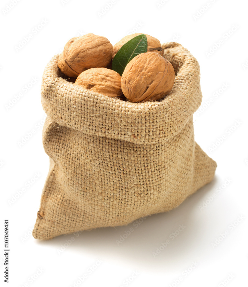 Poster walnuts on white background