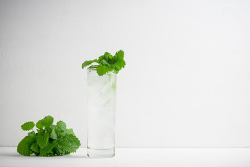 Mint julep in glass on the wooden background