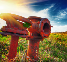 Old fire hydrants on the meadow