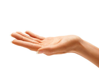 Woman's hand sign isolated on white background. Palm up, close up.