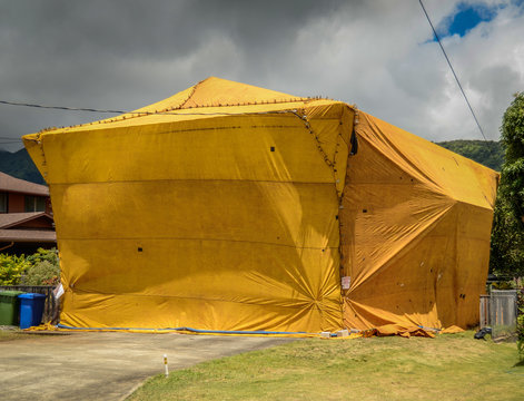 Home Fumigation Pest Control Tent