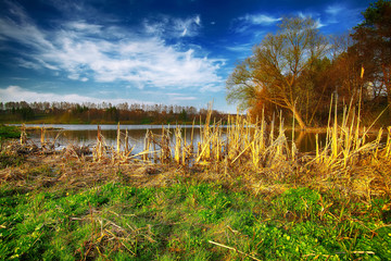 Obraz premium Sunny day on a calm river in summer