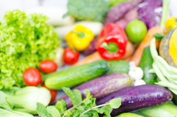 Many kinds of vegetable, blur style for background