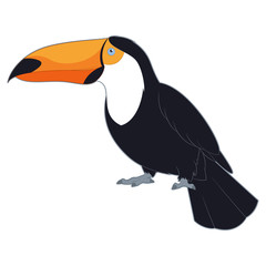 Obraz premium Cartoon Smiling Toucan