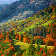 Obrazy na Plexi  górski jesienny krajobraz z kolorowym lasem