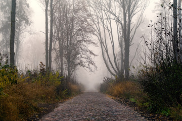 Mglista droga © podlaski49