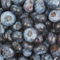 Surface coated with bilberries