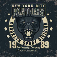 Panter Sport t-shirt graphics