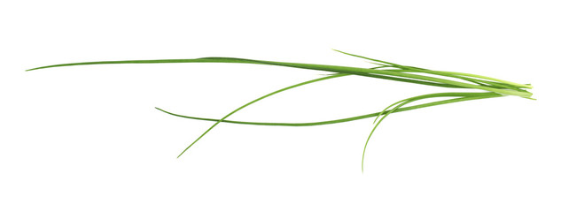 Green onion scallions isolated