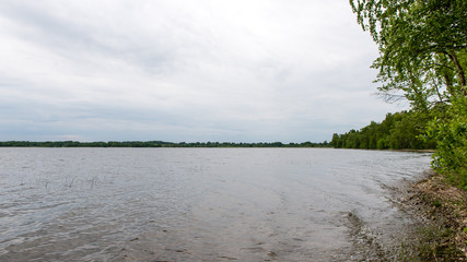 Summer lake near the forest.