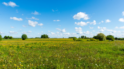 Green grass meadows and fields landscape in a sunny day