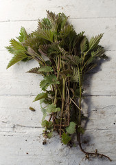 Nettles