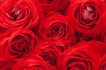 background filled with flowers