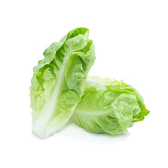 Cos Lettuce Isolated on White Background © kaiskynet