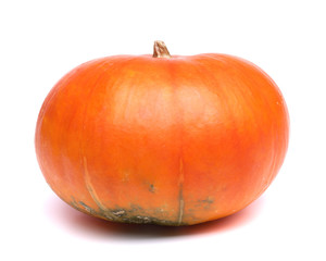one pumpkin isolated