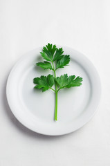Parsley leaves