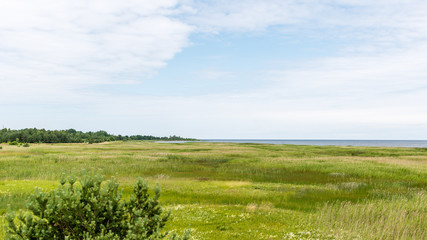 Obraz premium Green grass meadows and fields landscape in a sunny day
