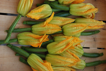 Zucchini with flowers