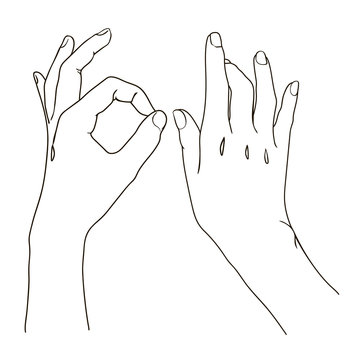 Outlines of hands on white background.