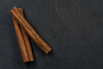 Two Cinnamon Sticks on Left Side with Copy Space to Right