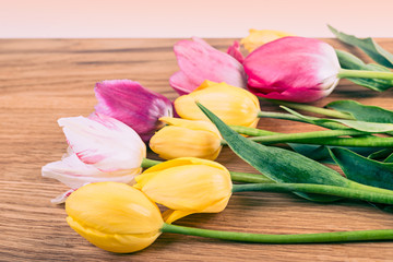 Colorful  tulips over wooden table.