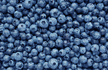 Fototapeta na wymiar Background from freshly picked blueberries