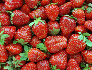 Background from freshly harvested strawberries