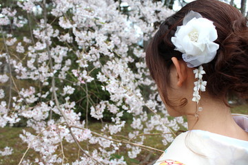 Obraz premium 着物姿の女性 