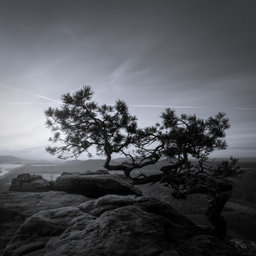 Fototapeta Lilienstein / Blick vom Lilienstein auf das Elbtal in der Nähe von Dresden in Sachsen.